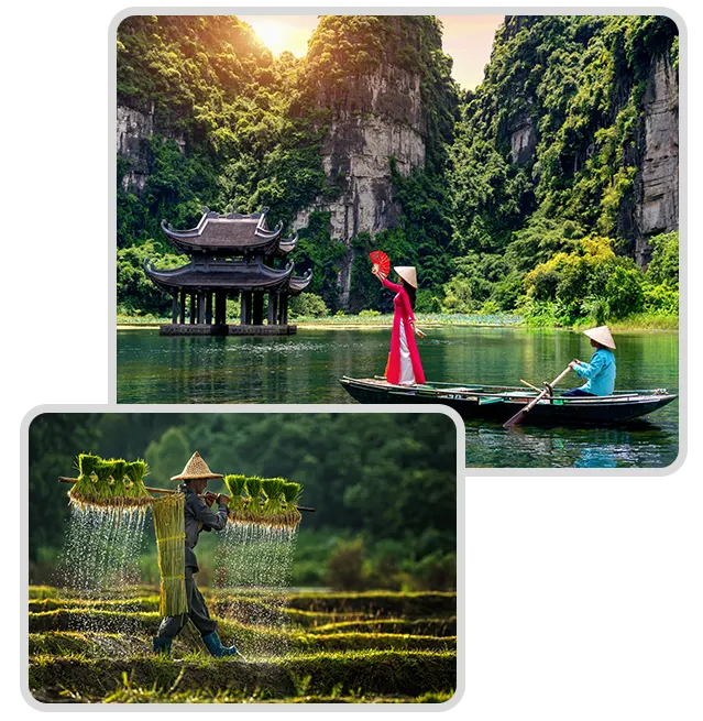 S’imprégner de la richesse culturelle et historique vietnamienne
